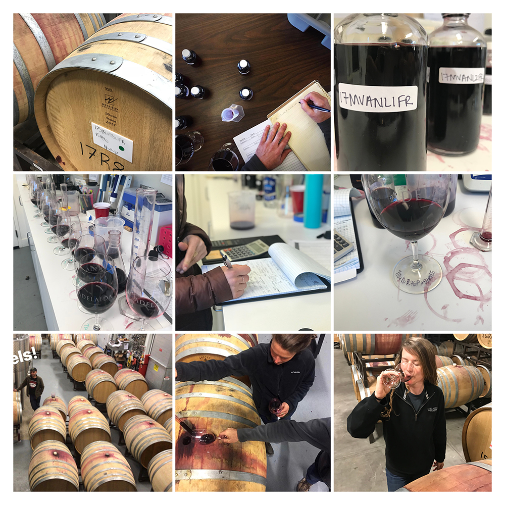 nine images: wine barrels; sample bottles with notes taken by winemaker; sample bottles of red wine; many glasses of wine in lab; winemaker taking notes on wine; glass of wine with writing on it; wine barrels in tank room; sampling wine barrels and putting wine in glass; winemaker tasting wine in barrel room