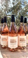 Rosé Release Party
